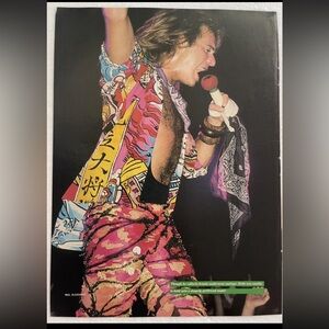 David LeeRoth pinup
